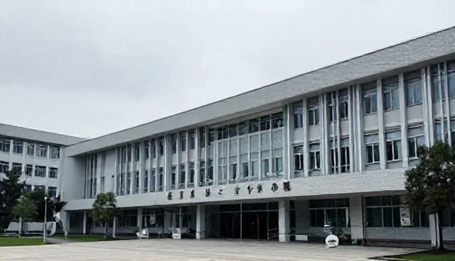 线上运营支持:自主运营与外包服务的取舍分析